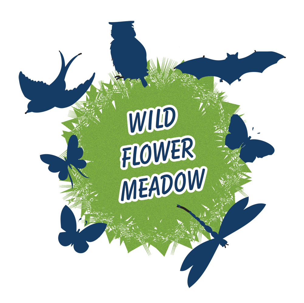 wild-flower-meadow-logo1